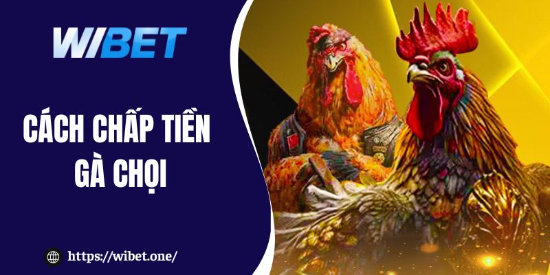 Cách chấp tiền Gà Chọi